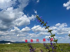 -敕勒川草原文化旅游区