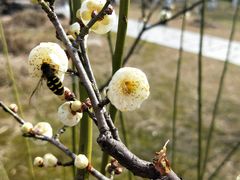 -白塘生态植物园