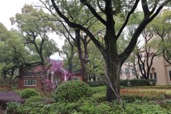 -虹桥迎宾馆·宴会厅