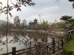 -迎泽公园