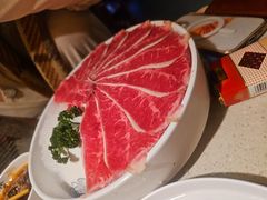 -小龙坎火锅(全球旗舰店)