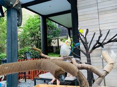 -上海崇明金茂凯悦酒店