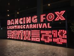 -锦江乐园舞狸花花游园会(夜场专享)