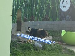 -南昌动物园