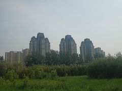 -东坝千亩湖公园