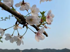 -东钱湖旅游度假区