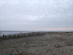 -南汇嘴观海公园