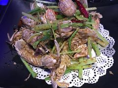 -96农蝎虾(江桥老街店)