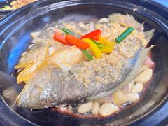 -朝郡酒家·粤菜(燕大星苑店)