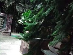 -龙达温泉生态城