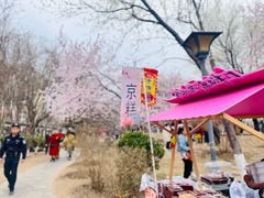 -桃花堤公园