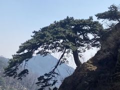 -泰山风景名胜区