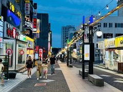 -宝健路步行街(Pedestrian Shopping Street)