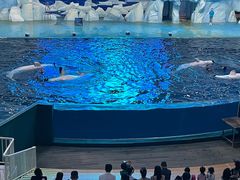 -福州罗源湾海洋世界旅游区