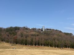 -羊山湖公园