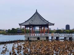 -济南大明湖景区