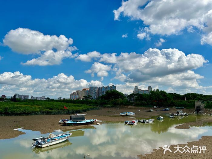 洛阳桥图片