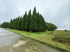 -秦始皇帝陵博物院-丽山园