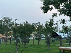-爪吧宠物乐园·宠物泳池(温榆河示范区店)