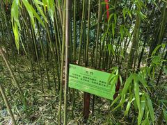 -常德桃花源景区