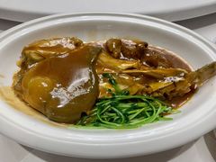 -鲐赏河豚(长寿店)