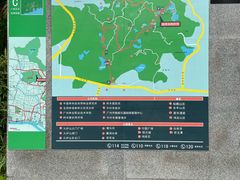 -火炉山森林公园