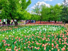 -长春公园(普阳街道)