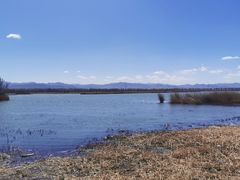 -野鸭湖国家湿地公园