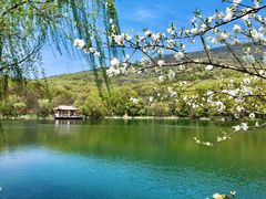 -紫霞湖公园