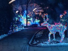 -南宫五洲植物乐园