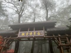 -鲁山国家森林公园