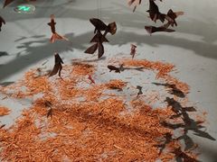 -中国湿地博物馆