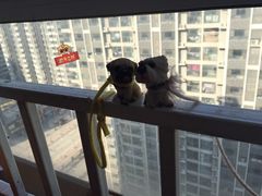 -远洋未来广场(育慧北路店)