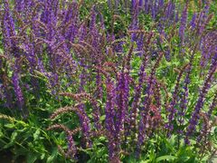 -BHG生活超市(安贞店)