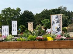 -北京十三陵国家森林公园蟒山景区