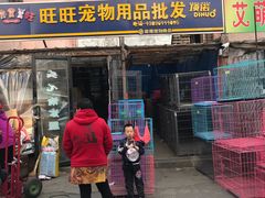 -哈尔滨道外花鸟鱼市场