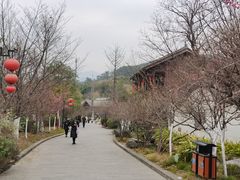 -广元千佛崖