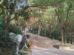 -天目湖山水园