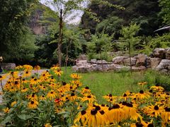 -十渡东湖港风景区