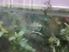 -上海昆虫博物馆