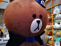 -line friends(明洞旗舰店)