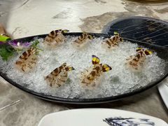 -富来美食(成发大厦店)