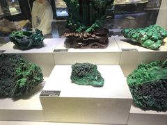 -河南自然博物馆