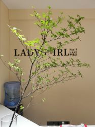 点击看大图 -LADYGIRL·Nail·Lash·美甲美睫