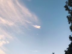 -南沙蒲洲花园