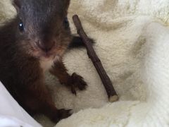 -雨林宠物医院 非犬猫异宠专科