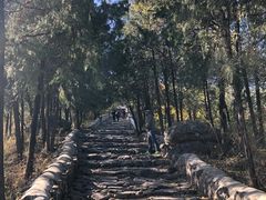 -阳台山自然风景区
