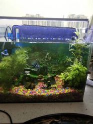 点击看大图 -ONE·男士国潮·美式渐变·理发馆·BARBER SHOP