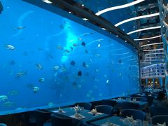 -瑞德姆美人鱼海底演艺主题餐厅(亚龙湾店)