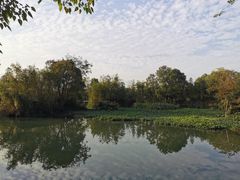 -西溪国家湿地公园